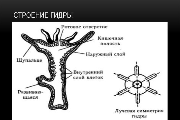 Кракен сайт 1kraken me