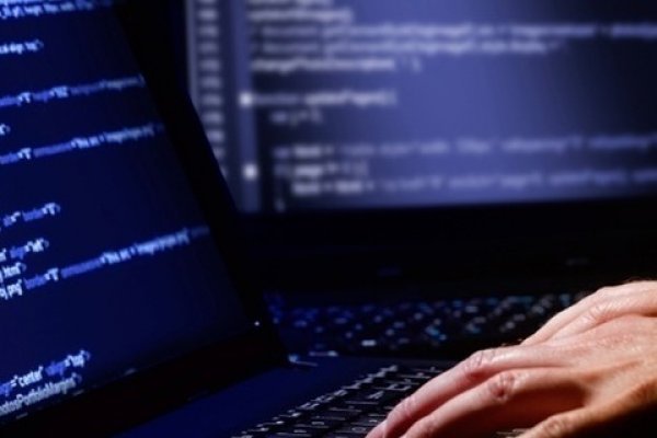 Kraken online