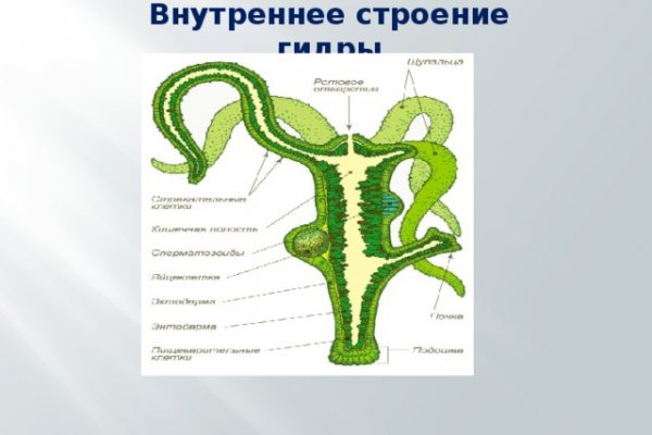 Через какой браузер зайти на кракен